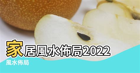 門口地毯顏色2022蘇民峰|家居風水佈局2022｜蘇民峰病位化解方法、文 